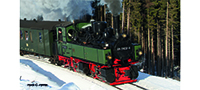 05821 | Steam locomotive HSB